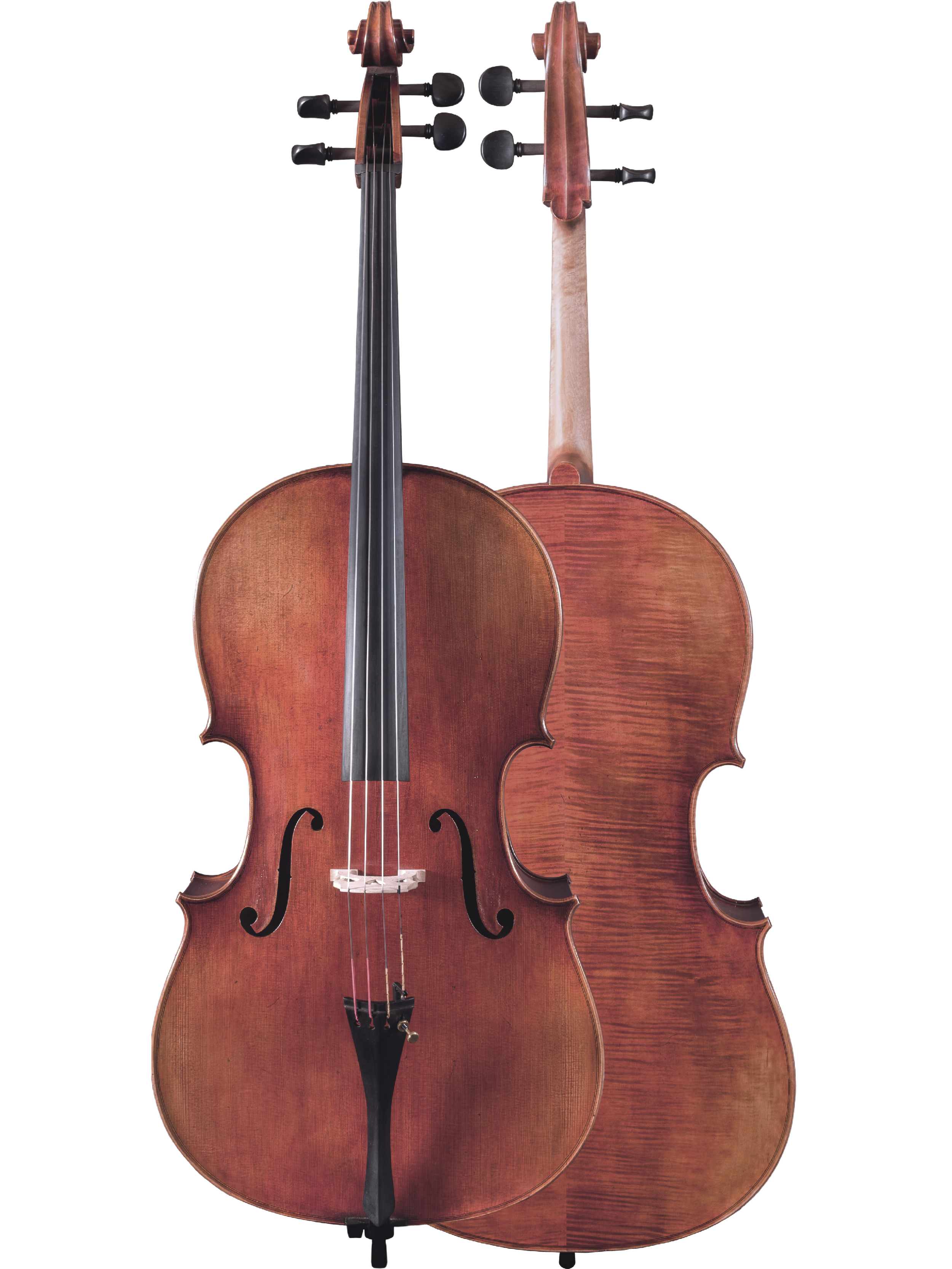 Master Lucienne Cello — Maple Leaf Strings